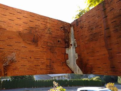 Beam and Joist Closeup View