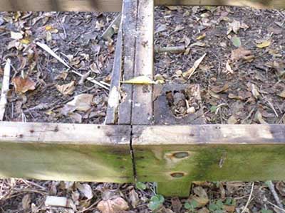 Supporting posts of boardwalk are rotted.