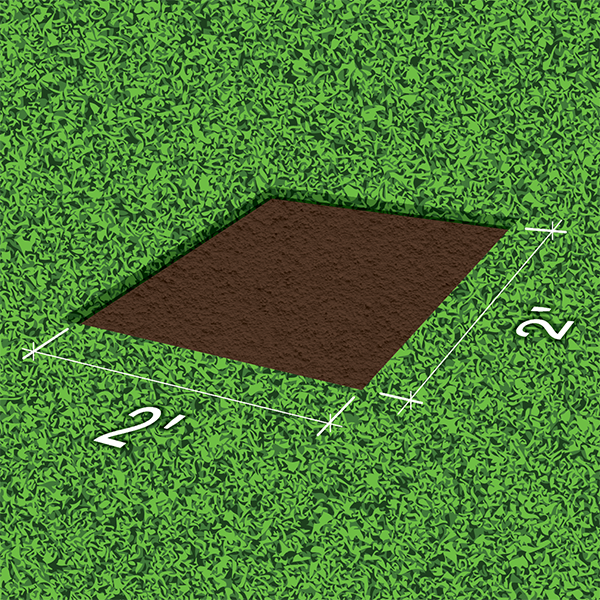 Remove the sod and organic material to expose soil.