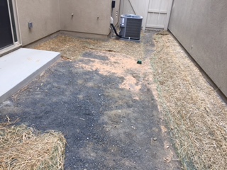 ogden decks comcrete patio