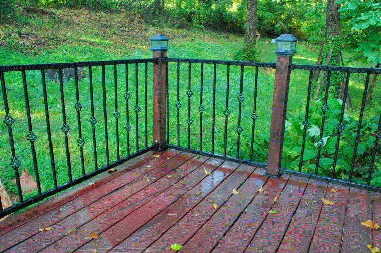 This image features railing infill section made of durable galvanized iron and powder coated black with unique detail.