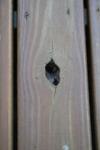 Knot Hole Popped Out Or Dry Rot in Second Board