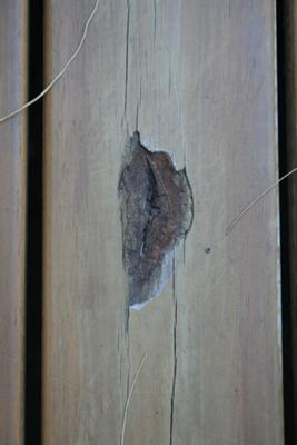 Apparent Dry Rot in First Deck Board