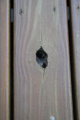 Knot Hole Popped Out Or Dry Rot in Second Board