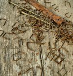 Rusty Nails Rusty Nails